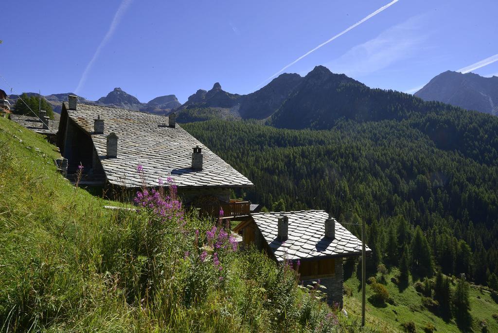 Rifugio Vieux Crest Hotel Champoluc Exterior photo